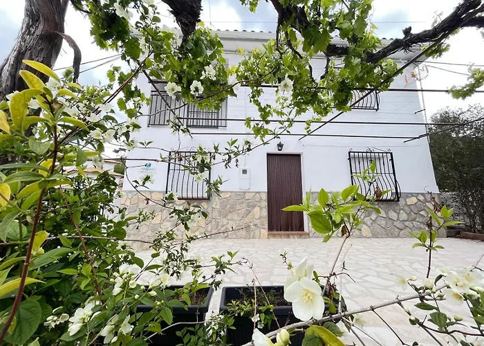 El Olivar De La Solana