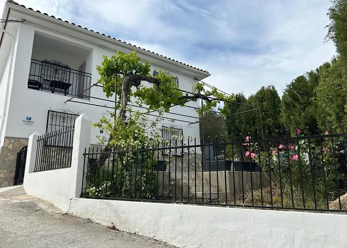 El Olivar De La Solana
