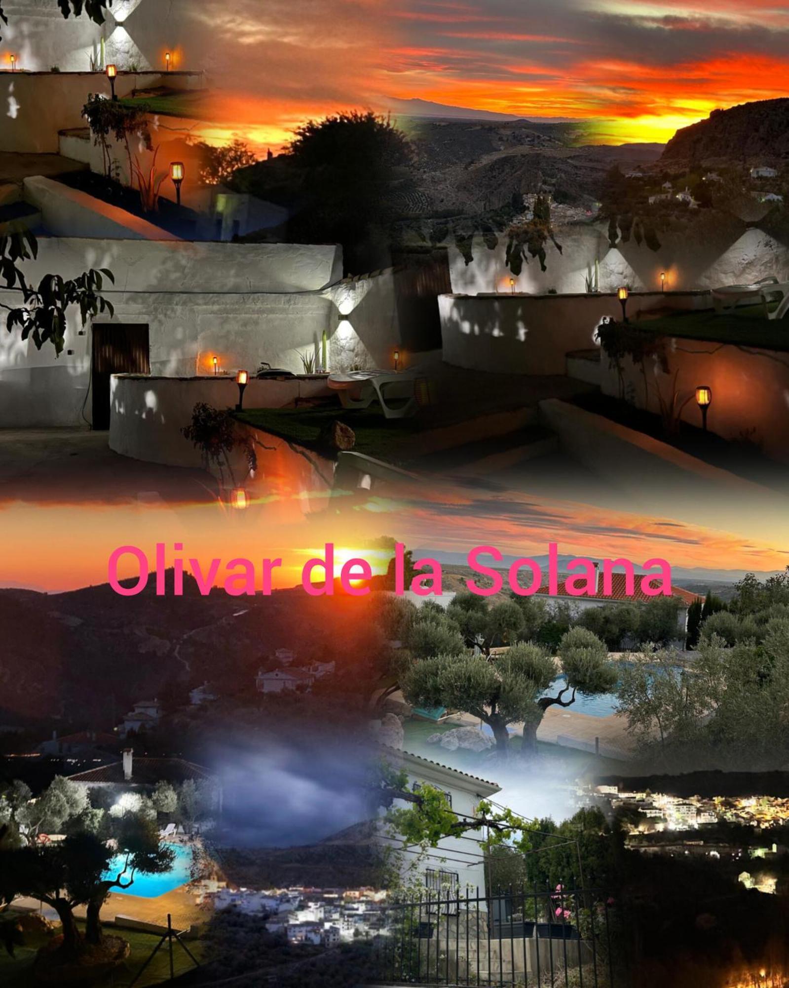 El Olivar De La Solana *